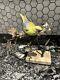 Albany Fine China Greenfinch On Bronze Limited Edition Perfect Condition