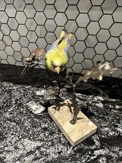 Albany Fine China Greenfinch On Bronze Limited Edition Perfect Condition