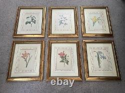 Art Vintage Limited Edition Set of Six. Rare & Mint Condition Floral Prints
