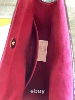 Authentic Louis Vuitton Recital Bag Limited Edition. Excellent condition