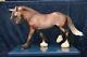 Breyer Argyle, 2015 Limited Edition On Othello Great Condition