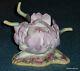 Burgues Limited Edition Pink Peony Flower Rare Mint Condition Gift
