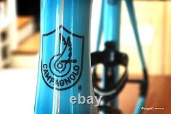 Campagnolo Limited Edition Frameset (Sarto) MINT Condition