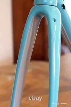 Campagnolo Limited Edition Frameset (Sarto) MINT Condition