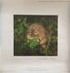 David Shepherd Water Vole Pencil Signed Limited Edition Excellent Condition