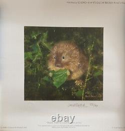David Shepherd Water Vole Pencil signed Limited edition Excellent condition