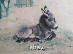 David shepherd limited edition signed, Donkey, framed, 1982, good condition. Large