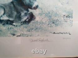 David shepherd limited edition signed, Donkey, framed, 1982, good condition. Large
