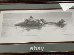 Gary Hodges Limited Edition Print Hippo Superb Condition
