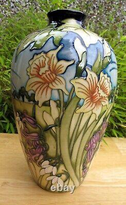 Moorcroft Rare Hare vase shape 25/9 Limited Edition 6/25 First Quality RRP £995