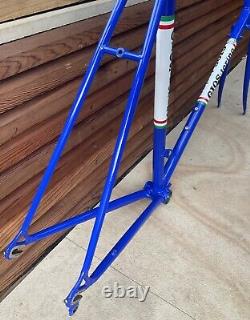 Official LTD Edition Gios Super Record Road Frame. Mint Condition. SIZE 60cm
