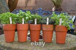 Plastic Plant Labels Pot Tags Garden Marker T Shape & Straight Labels & Pencil