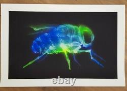 Shok-1'X-FLY' Limited Edition Signed Print of only 50 Inc COA in Mint Condition