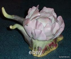 Burgues Edition Limitée Pink Peony Flower Rare Mint Condition Gift
