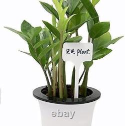 Étiquettes en plastique pour plantes, étiquettes pour pots, marqueurs de jardin en forme de T et droites, et crayon