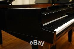 Hamburg Steinway A La Tricentenaire Limited Edition # 158 Pristine Condition