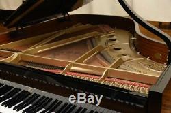 Hamburg Steinway A La Tricentenaire Limited Edition # 158 Pristine Condition