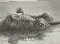 Impression en édition limitée de Gary Hodges - Hippopotame en superbe condition