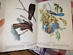 Les Oiseaux D'amérique Par John James Audubon Édition Limitée De 1937 - Excellent État